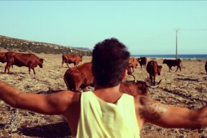 El Canijo de Jerez en un campo junto al mar rodeado de vacas de retinto, dando los buenos días al mundo
